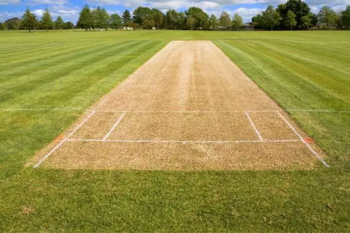 Artificial_Grass_for_Cricket_Hit_a_Home_Run_in_Maintenance!