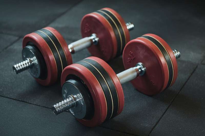 95_LB_Dumbbells_in_Online_Store